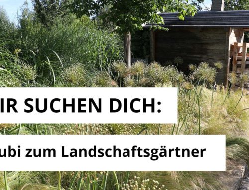 Azubi zum Landschaftsgärtner (w/m/d) gesucht