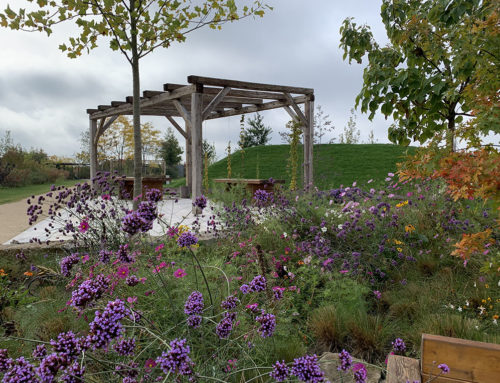 Unser Schaugarten auf der Landesgartenschau Ingolstadt